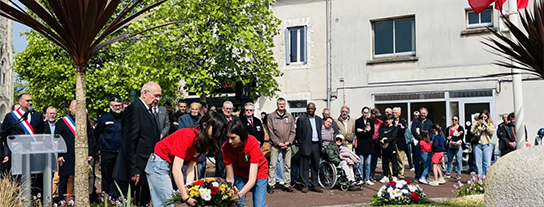Téléchargez les images - 3
