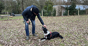 Téléchargez les images - 12