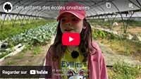 Téléchargez les images - 21