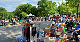 Téléchargez les images - 12